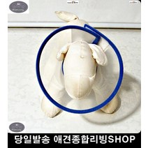 강아지넥카라 반려용품 강아지탈골 고양이목보호대 애견슬개골탈구 애견할인매장, 1개, 낱개