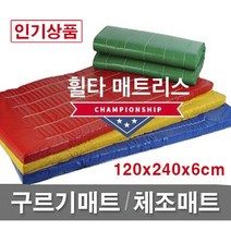 빅세일 [휠타매트리스] 120x240x6cm 구르기매트 체조매트 학교체육 유아체육 체육관매트 낙법 착지매트, 회색(Gray), 일반형