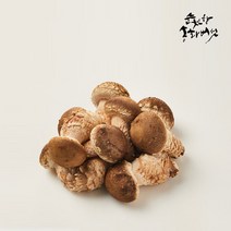 순천향 송화버섯 맛있는 국산 생 송화버섯 산지직송, 1box, 순천향 송화버섯 알뜰형: 500g