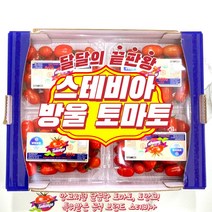 [우듬지팜] 스테비아 방울토마토 토마토 1kg 2kg, 스테비아 방울토마토 2kg