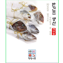 삼천포 항 최상급 반건조 재수용 생선알뜰세트 꽃돔 민어조기 서대 설날 명절 부모님 선물용