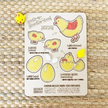 강낭콩의한살이 식물의한살이 초등과정 유아 체험 꾸미기 재료, 강낭콩