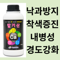 방울토마토 귤나무 비료 영양제 고추칼슘제 식물