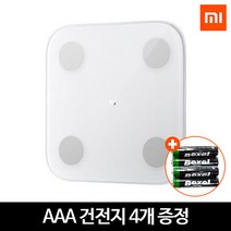 샤오미 체지방 체중계 인바디 전자저울 스마트 미스케일2세대, 체지방저울2+건전지