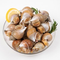 엄마농수산 생물 골뱅이 백골뱅이 백고동 탕 무침 비빔면 1kg 500g, 500g 대 (12미 내외)