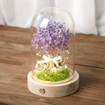 드라이플라워 프리코트 안개꽃 유리돔 프리저브드 꽃선물 LED 무드등, 프리코트 안개꽃 파스텔퍼플