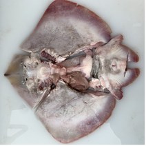 군산 간재미 국내산 신선한 급냉 간재미 1팩 1.4kg