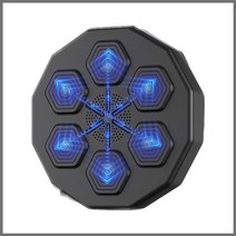 복싱샌드백 가정용 스탠딩 복생패드 음악 스마트, 블랙