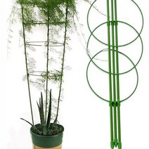 (코어무역) 식물지지대 화분 넝쿨 원형 원예 꽃 지주대 화초 줄기 꾸미기 수태봉 수태 75cm 3개/1set, 3개