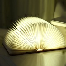 다이어리 북 led 미니 무드램프 (책조명), 블루