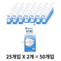 애니가드 황사마스크 대형 KF80, 25개입, 2개