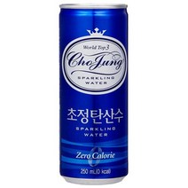 초정탄산수 250ml x30캔