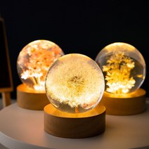 3D LED 민들레 무드등 크리스탈 수정구슬 너도밤나무 스탠드조명 플라워 꽃 선물, 6cm-Dandelion