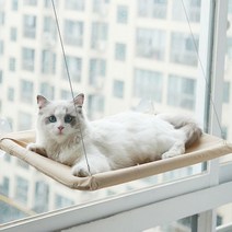 고양이 창틀 창문 캣타워 종이 캣폴 미니 투명 해먹 귀여운 침대 편안한 써니 시트 창 마운트 애완 동물 제품 부드러운 애완 동물 선반 용품 분리형 베어링, 숲의 녹색