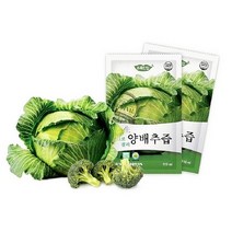 양배추브로콜리즙 생생 유기농 양배추팩 110ml 30포, 생생 유기농 양배추즙1박스