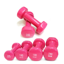 프로모릭스 PVC 미용아령 2개세트 0.5~2KG, PVC 미용아령 1Kg (0.5Kg X 2), 2개