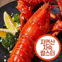 [바이킹마켓][무료배송] 랍스터 집게살 (500g) 순살