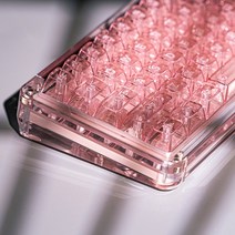 매크로 한손 키보드 팬텀 무선 블루투스 투명 발광 가지 모드 인체 공학적 맞춤형 기계식, 없음, 없음, 4.Pink