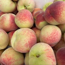 대극천 반납작 복숭아 1kg 6-9과, 단품없음