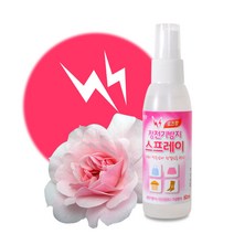 비엘코리아 정전기방지 스프레이 60ml, 로즈향