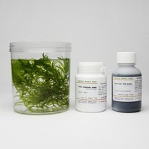 (ART)광합성 실험세트