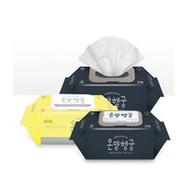 두꺼운 도톰한 차량 자동차 청소용 대용량 물티슈 물휴지, 02. 로열(고급형) 10팩