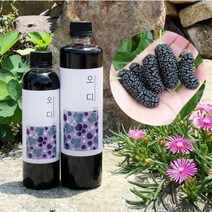 농부프린스 오디청 오디원액 오디즙 오디효소 500ml