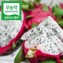 세상모든농부 무농약 국산 제주 용과 드래곤후르츠 친환경, 06. 선물용 제주 용과 2kg