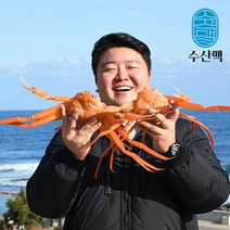 포항 구룡포 제철 연지 박달 홍게 당일조업 수율 70~80%, 상세페이지 참조4, 연지홍게 실속형(10마리)