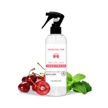 천연 홈닥터 룸 스프레이 200ml 신발 및 자동차냄새 제거 공기정화, 단품