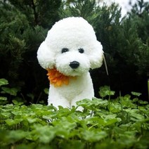 진짜같은 강아지 인형 비숑 프리제 23cm 30cm 50cm 리얼 강아지모형, 3