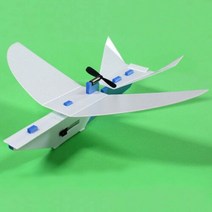 비거 전동글라이더