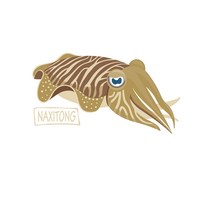 갑오징어B 낚시스티커