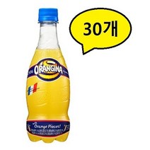 롯데칠성음료 오랑지나, 420ml, 30개