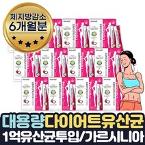 대용량 내장지방 체지방감소 HCA다이어트800mg 약 6달 식약처인증 체지방감소 도움 여성 여자 다이어트 보조제 20억유산균 유산균증식 배변활동원활 장건강 탄수화물지방 흡수억제