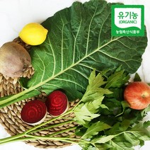산지직송 유기농케일 무농약 녹즙용 케일 1kg, 상세페이지 참조