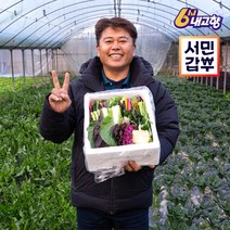 무농약 친환경 수경재배 쌈&샐러드채소(1kg), 1박스, 1kg