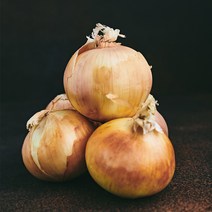 22년 수확한 아삭단단한 국산 햇 양파 대 10kg, 단품