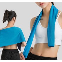 일개미몰 먼지없는 땀 닦는 수건 긴 수건 땀타올 아이스 쿨타월, 쿨타올, 블루