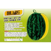 허니골드 200립 수박씨 수박종자 수박씨앗