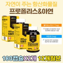 플라보노이드 활성 산소 제거 항산화제 프리미엄 프로폴리스 어르신 실버 노인 70대 80대 캐나다 추출물 원액 플로폴리스 건강보조식품 면연력 1000mg BEEPROPOLIS 추천