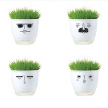 새싹키우기 삼투압 저면관수 반려식물 잔디 화분 세트, 평화로운송충이