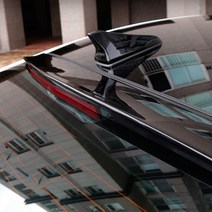 제이스토어 / 글라스윙 제네시스 스포일러 리어 루프 바이저 BH330, 본상품선택, 1개