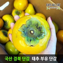 이츠올릿 프리미엄 태추 단감 5kg 중 (21~23과) 땡감 진영 부유 대추 창원 청도 창녕