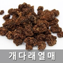 청명네이처 개다래열매 충영 목천료 - 국내산, 1개, 150g