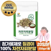 인도산 100% 차전자피 분말 차전초 1일1똥주스 재료
