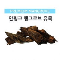 모비딕 맹그로브유목 대