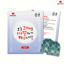 해피데이핫팩 발핫팩(20gx2), 100개