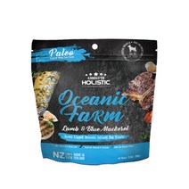 앱솔루트 홀리스틱 양고기&고등어 100g, 100g 1개