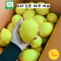 구씨아줌마 산지직송 국산레몬 제주레몬 GAP인증 햇 레몬 3kg 5kg 친환경 레몬청 레몬에이드, 제주 레몬 3kg, 1개